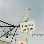 2000 - Hirsch in Kur - Hirsch in Kur (2 von 2)