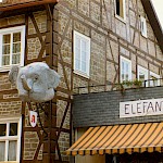 1979 - Elefant (2 von 3)