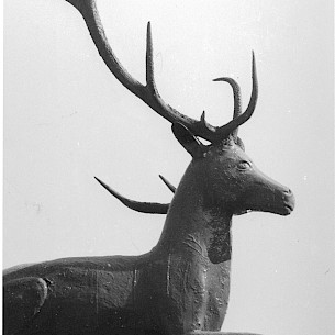 alter Hirsch -  (1 von 2)