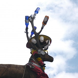 2017 - ABIn den Süden (1 von 4)